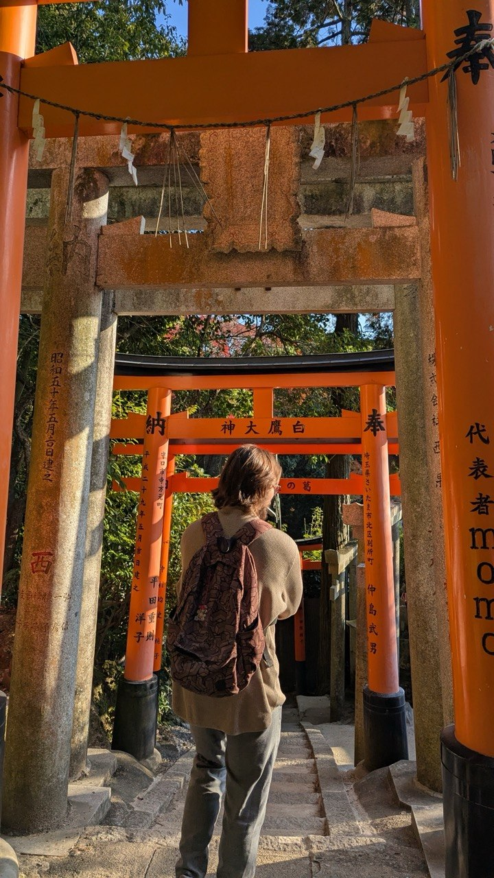 A visitor walking through the torii gates at Fushimi Inari Shrine in Kyoto